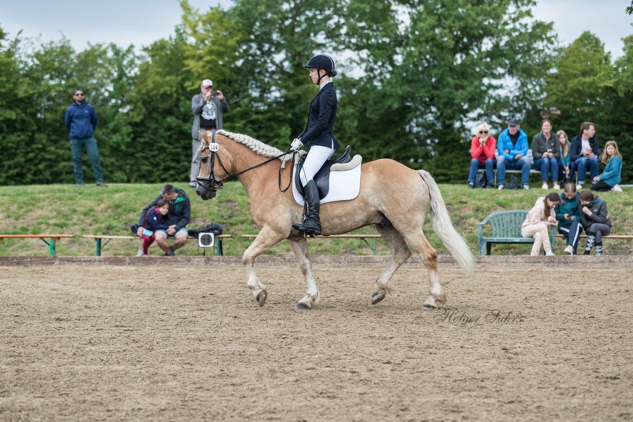 Bild 435 - Pony Akademie Turnier